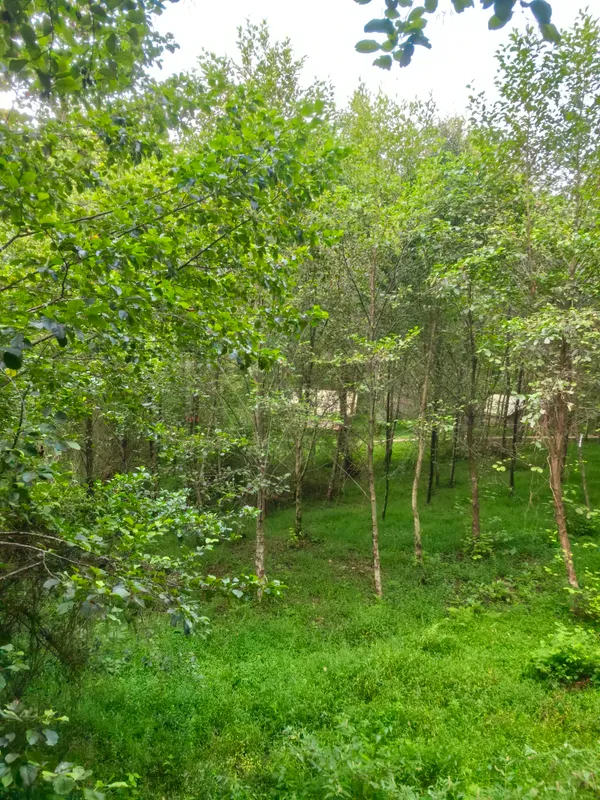 Garuda Glamping Abkhazia фото 0