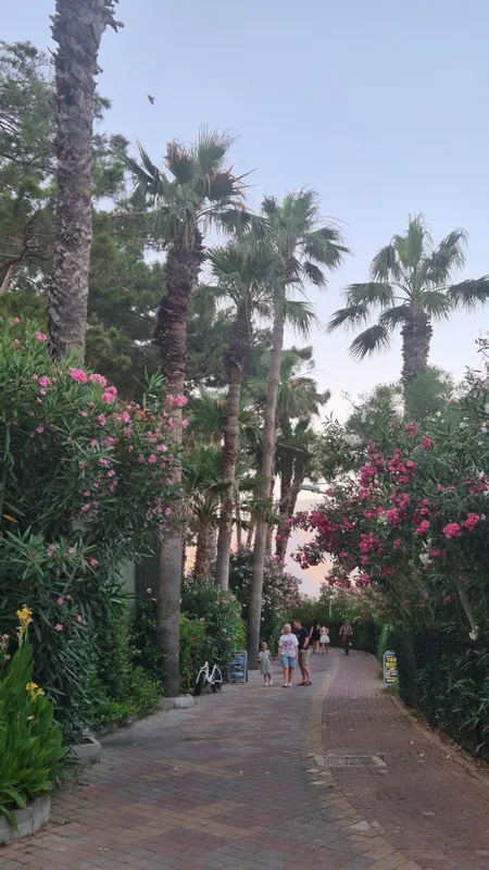 Grand Yazici Club Marmaris Palace фото 66