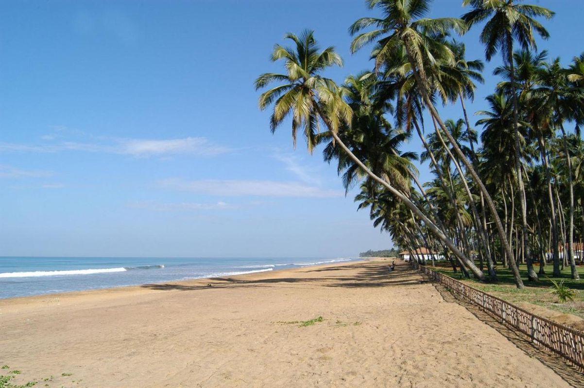 Royal Palms Beach Hotel фото 7