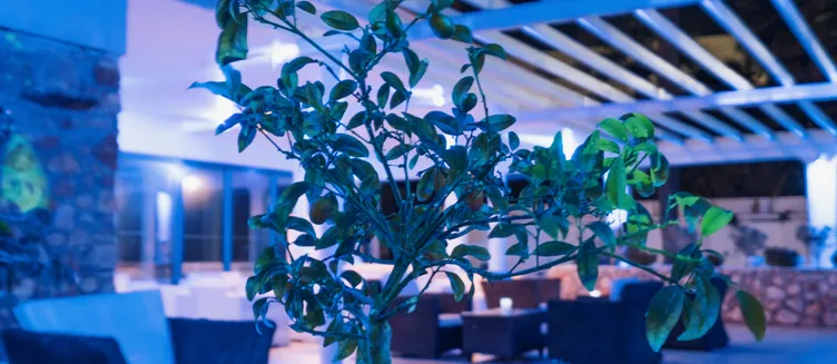 Фото отеля Anonymous Beach Hotel