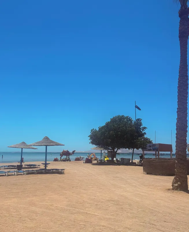 Edge Rotana Sea Beach фото 64