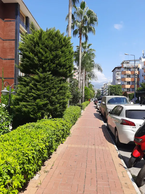 Alanya Risus Park Hotel фото 51
