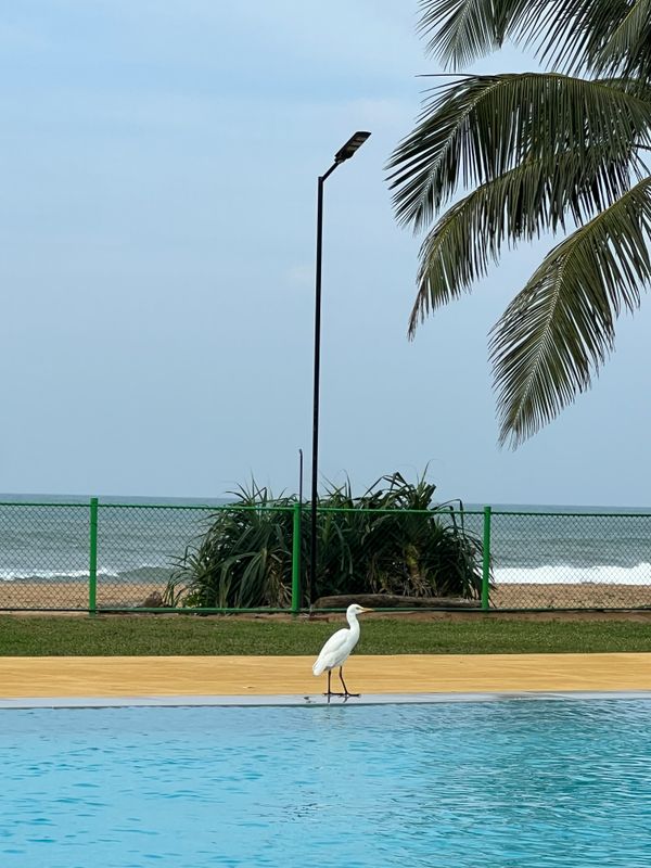 Grand Beach Wadduwa By Wijaya Leisure фото 49