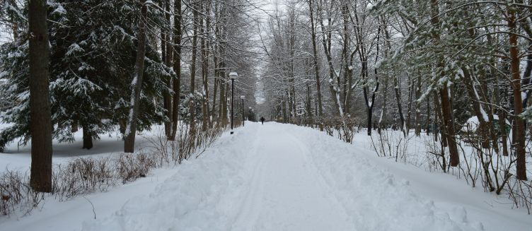 Фото отеля Егнышевка