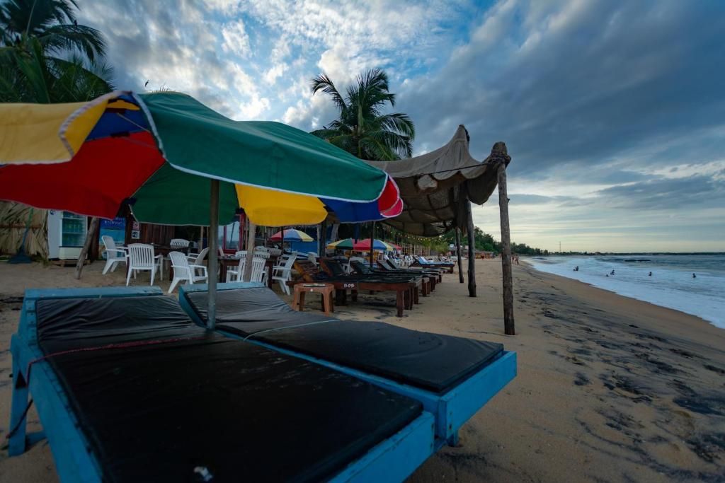 Guest House «The Surf Access Guest House» фото 41