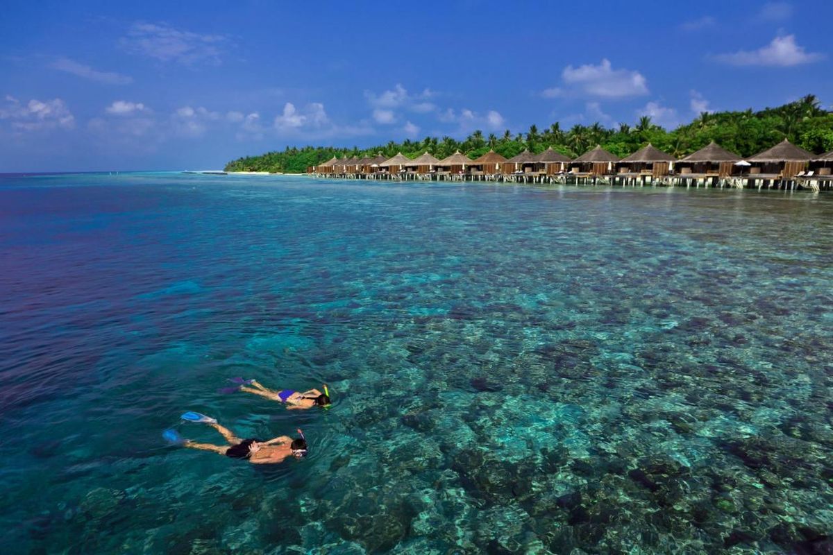 Niva Kuramathi Maldives фото 36