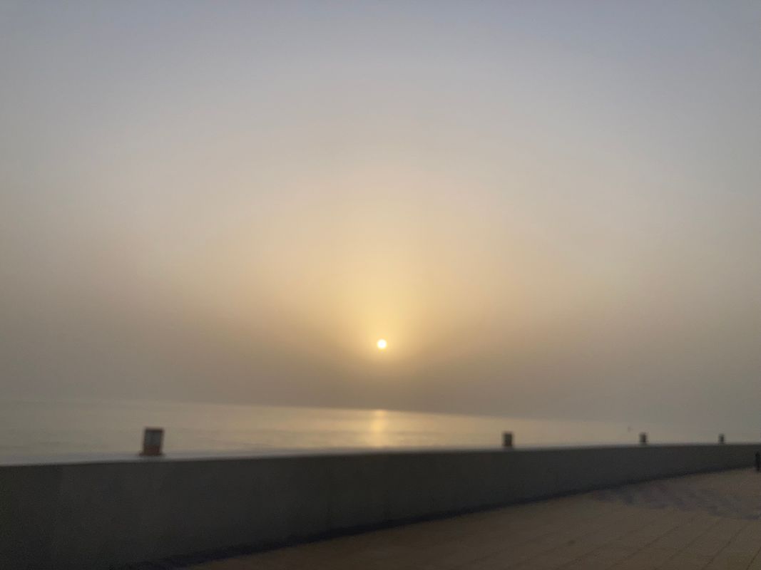 Rove Al Marjan Island фото 104