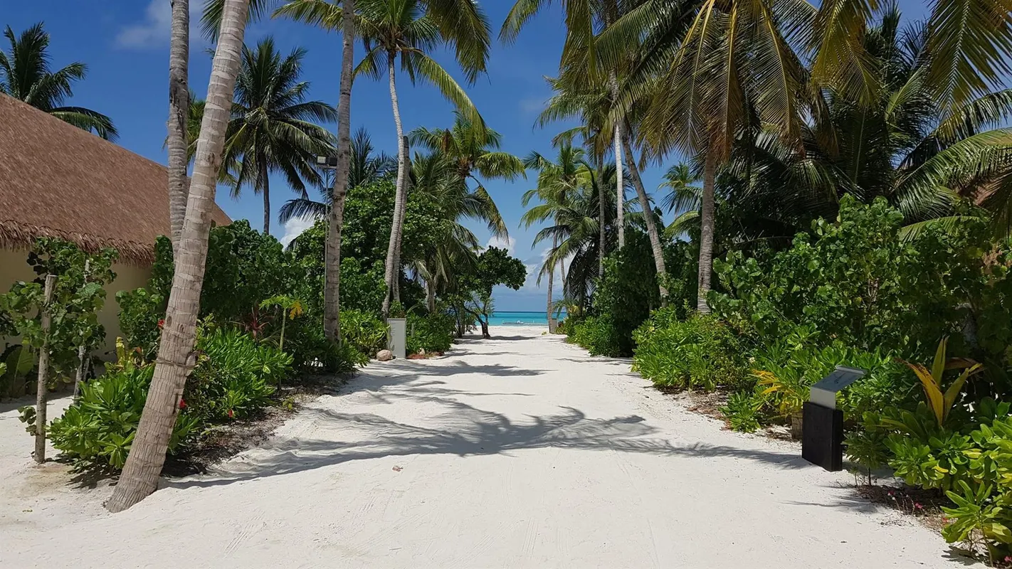 Cinnamon Velifushi Maldives фото 29