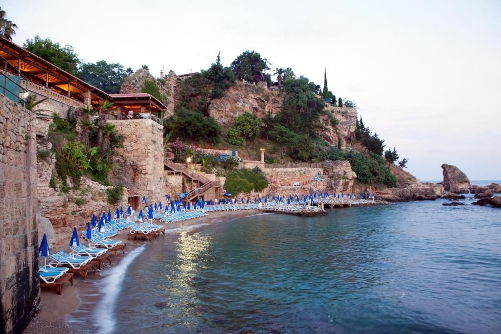 Dogan фото 67