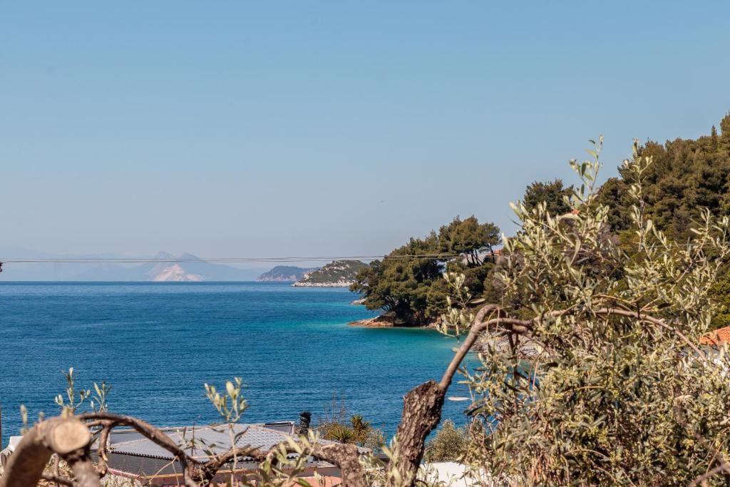 Kastri фото 3