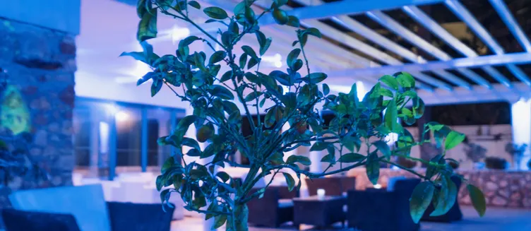 Фото отеля Anonymous Beach Hotel