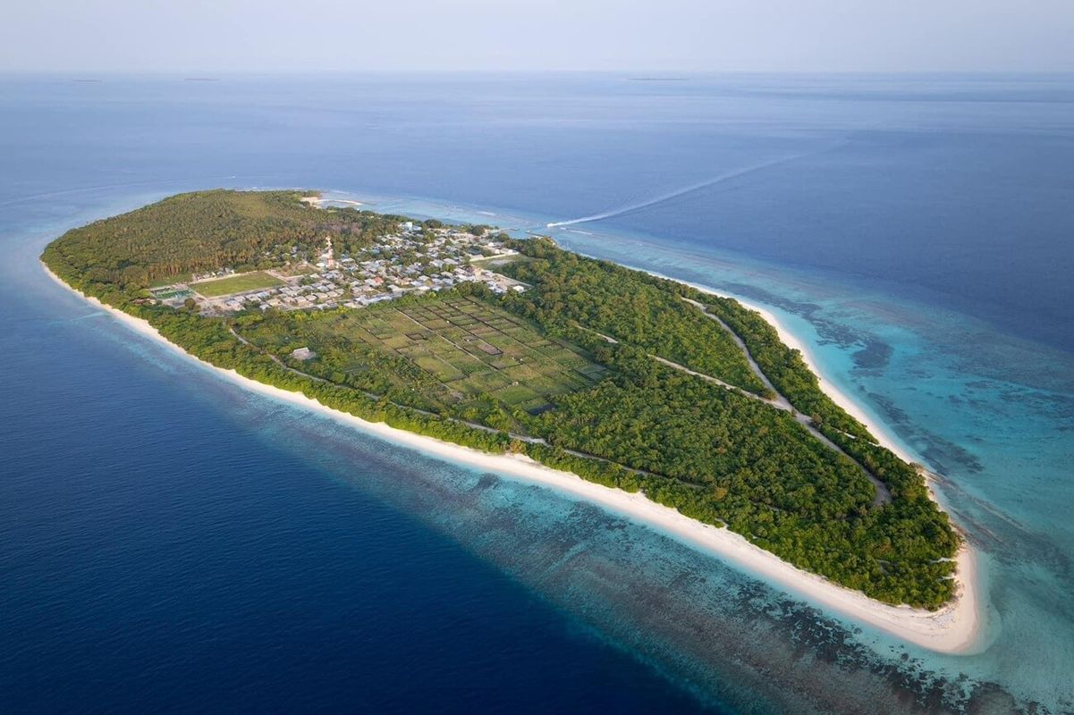 Guest House «Olive Goidhoo Guest House» фото 1