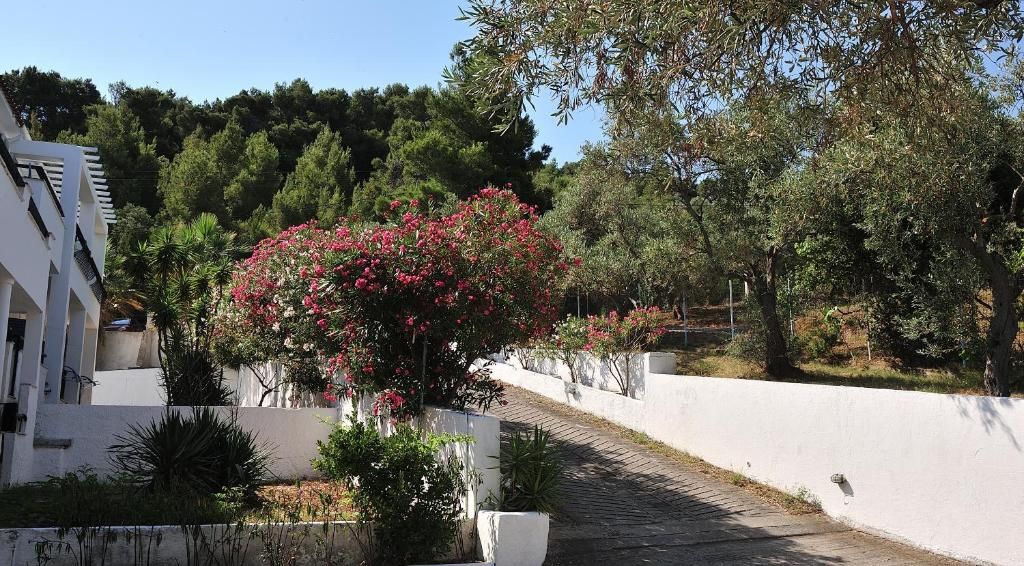 Anamar Skiathos фото 22