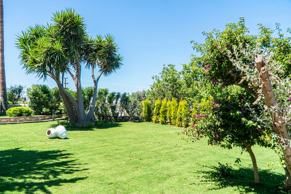 Elementa Luxury Boutique Hotel (Adults Only) фото 40