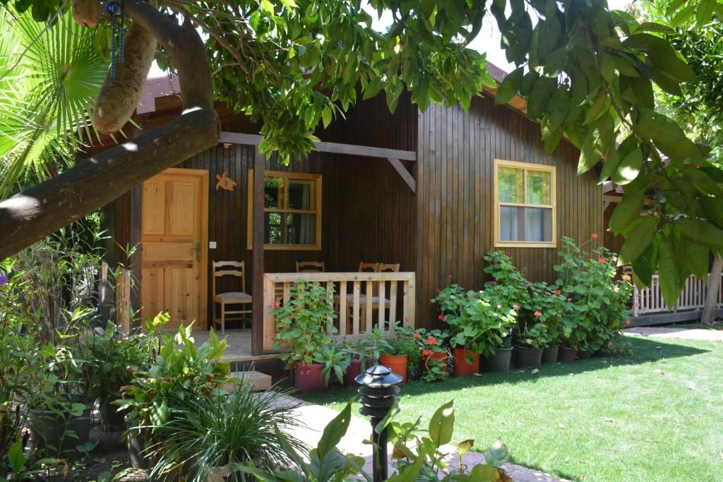 Гостевой дом «Caretta Caretta Pension» фото 15