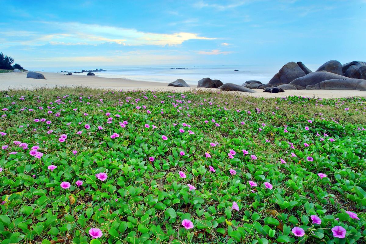 Thuy Duong Resort фото 3