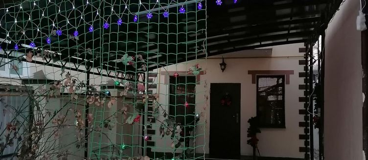 Фото отеля Гостевой дом «У Юли»