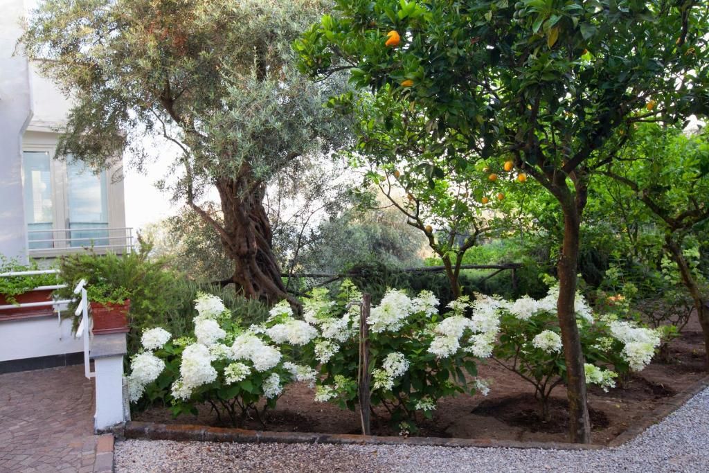 Villa Oriana Relais фото 60
