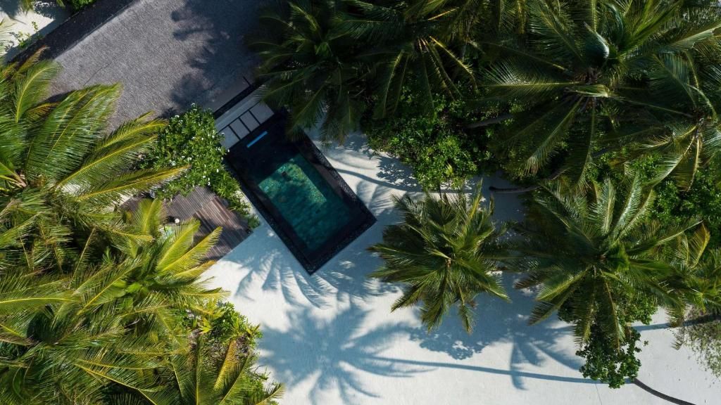 One & Only Reethi Rah фото 136
