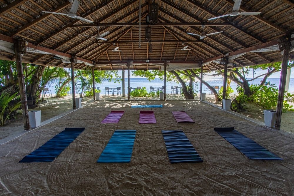 Guest House ««Plumeria Maldives» Guest House» фото 36