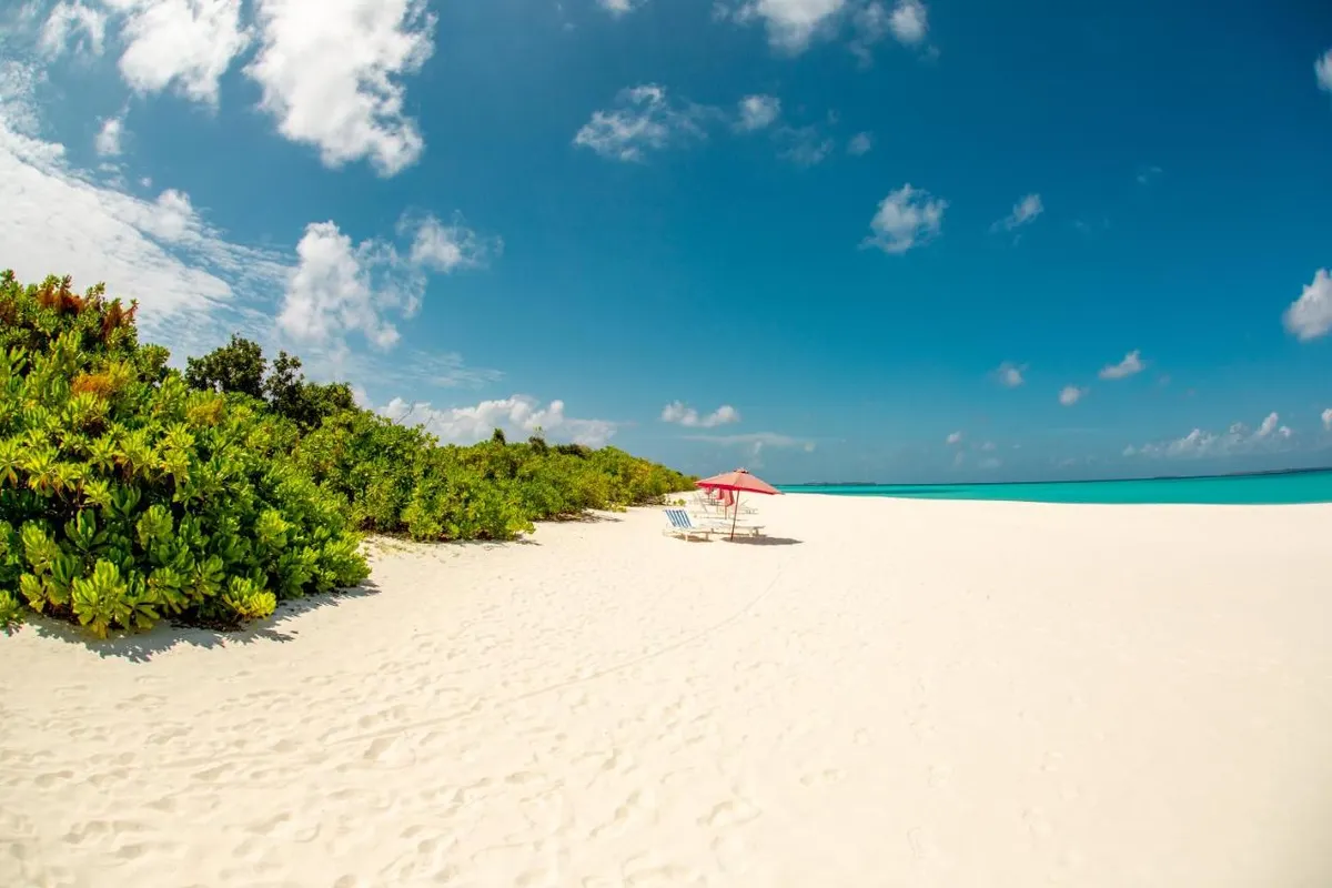 Hondaafushi Island Resort фото 9