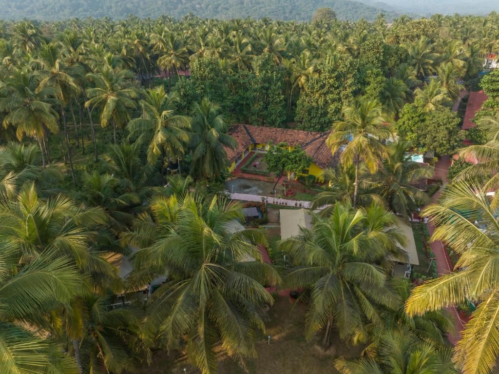 Trishvam Palolem Beach Resort фото 49