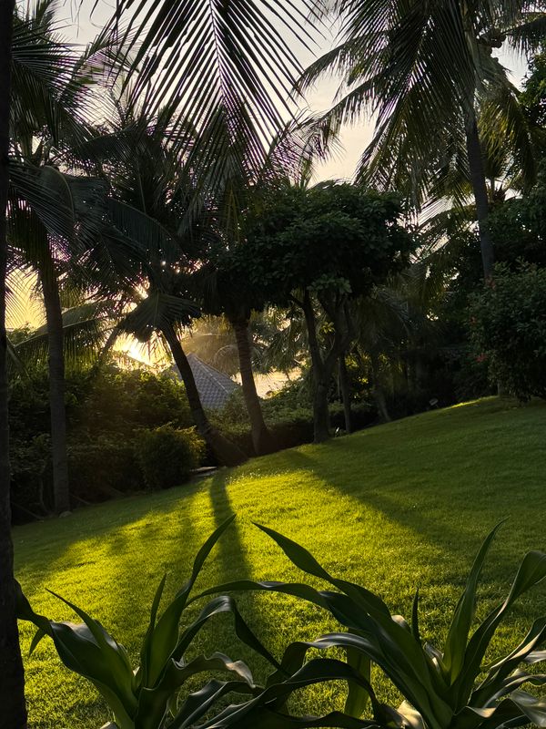 The Cliff Resort and Residence фото 77