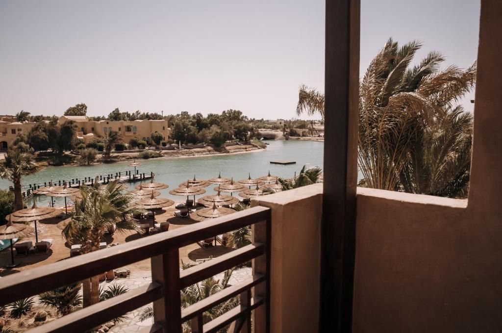 Cook's Club El Gouna (Adults Only) фото 26