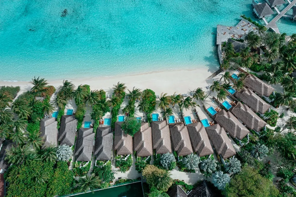 Niva Velassaru Maldives фото 91