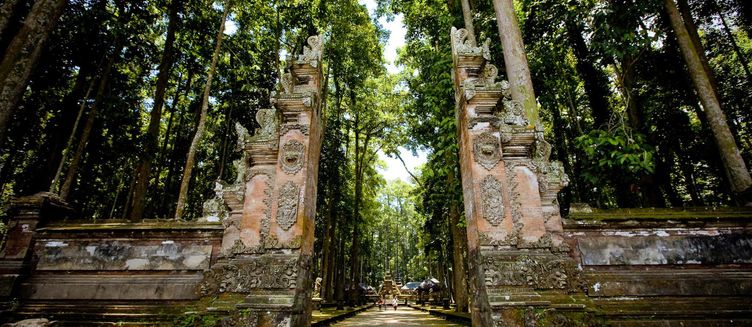 Фото отеля Fivelements Retreat Bali