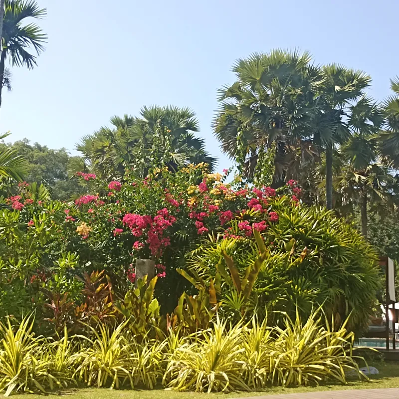 Naithonburi Beach Resort фото 44