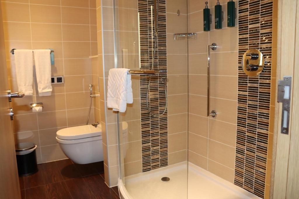 Hilton Garden Inn Dubai, Mall Avenue фото 62