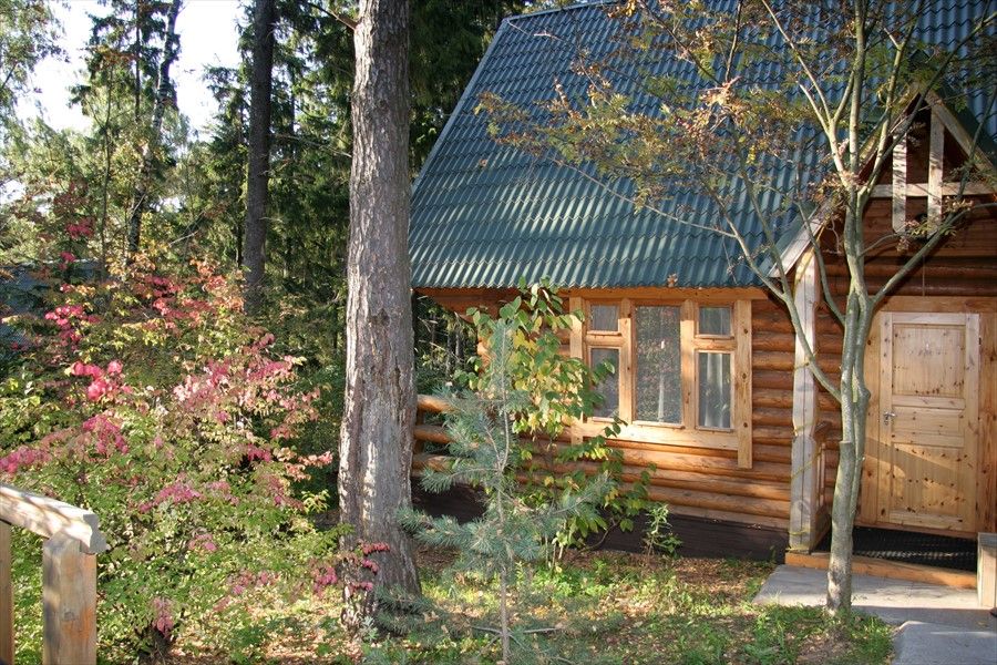 Тропикана Парк фото 176