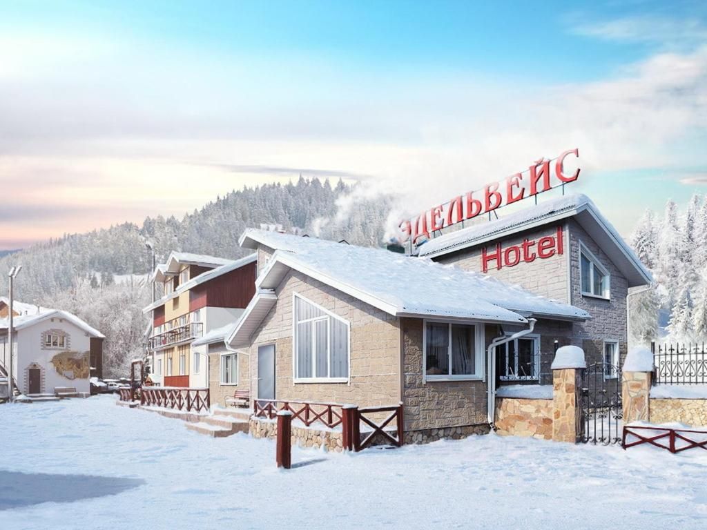 Эдельвейс фото 4