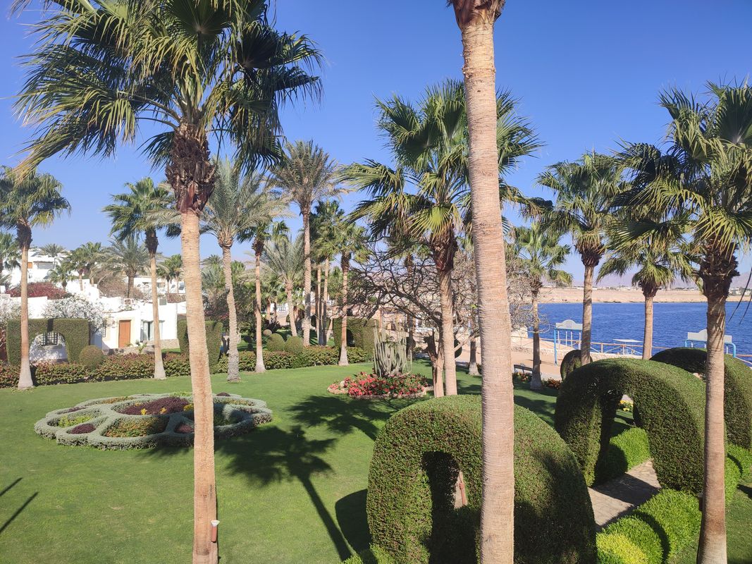 Sharm Club Beach Resort фото 146