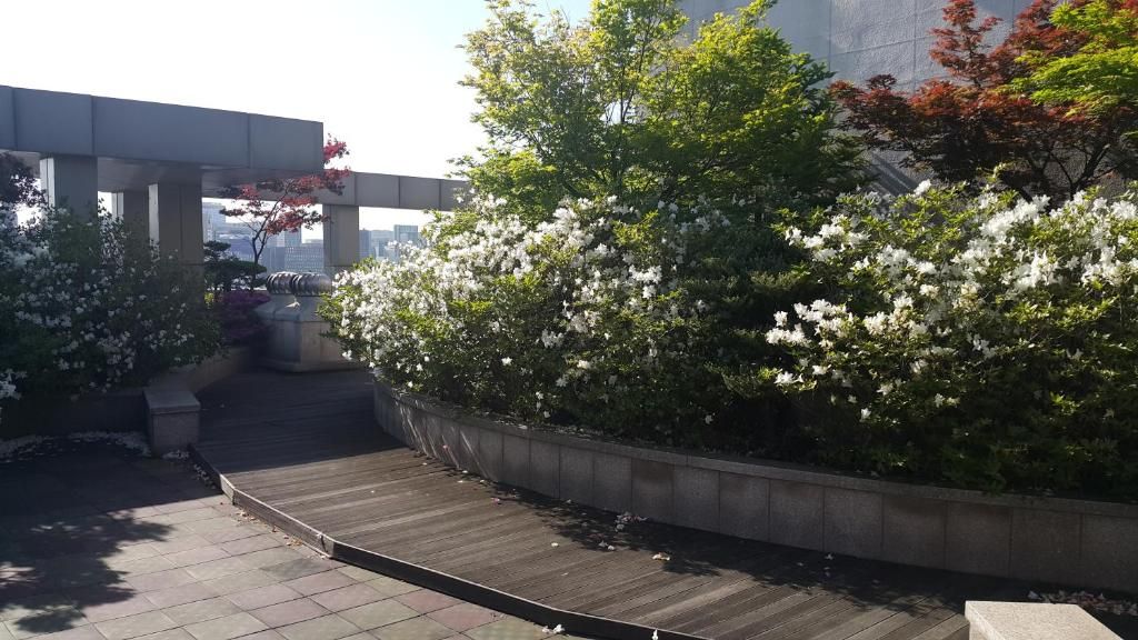 Апарт-отель «Hyundai Residence» фото 5