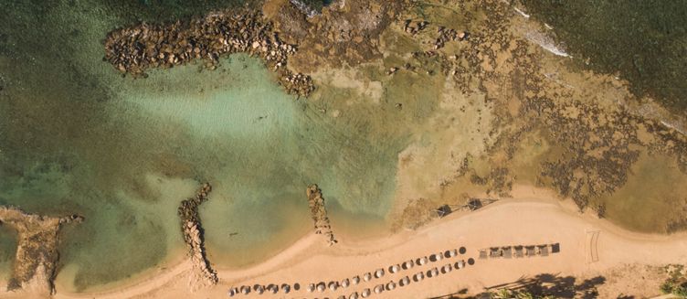 Фото отеля Mare Ayia Napa