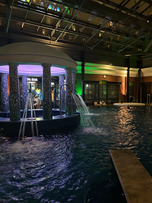 Palace Bridge Hotel фото 42