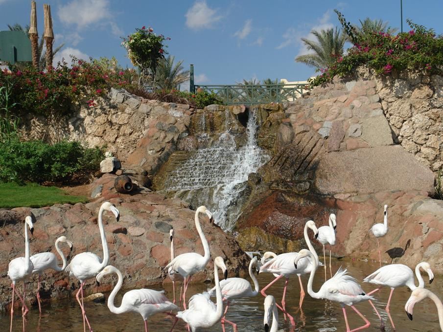 Hauza Beach Resort & Aqua фото 7