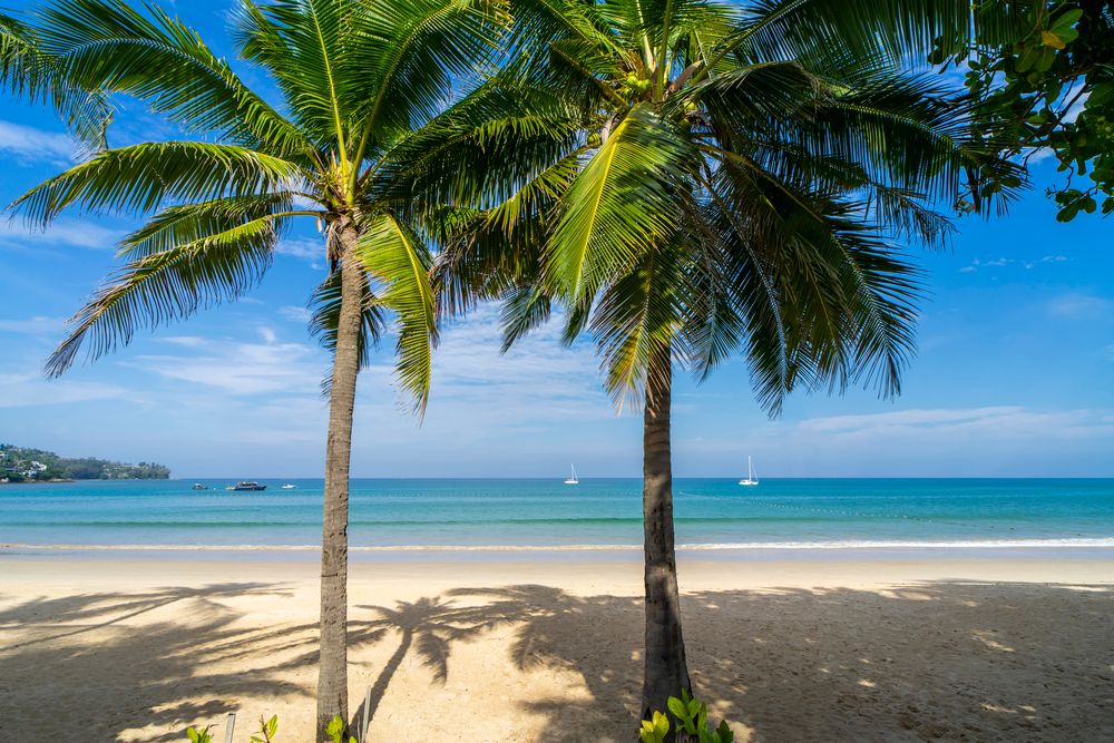 Sunwing Kamala Beach фото 28
