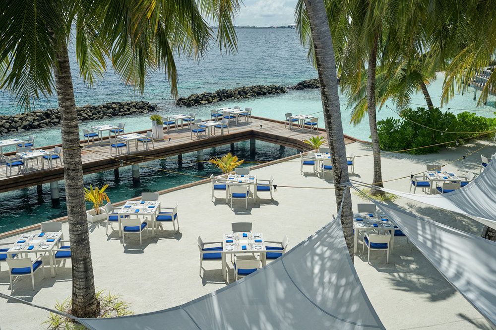 Niva Kurumba Maldives фото 131