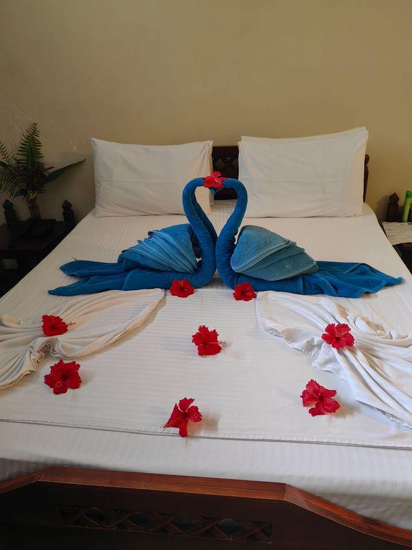 Thambapanni Retreat фото 24