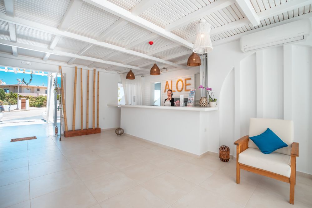 Aloe фото 59
