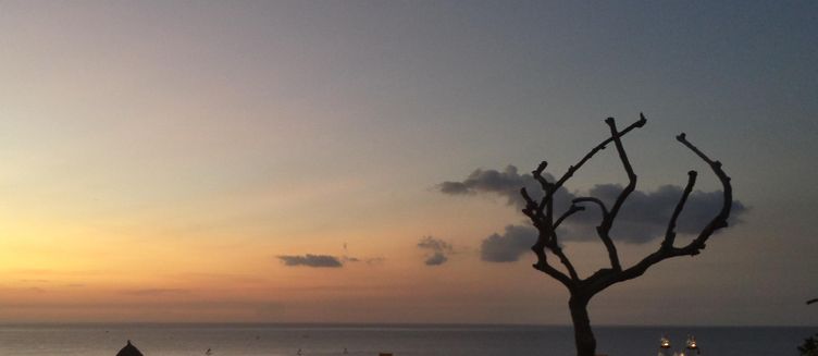 Фото отеля The Griya Villas and Spa