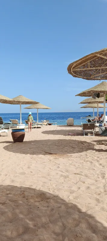 Domina Coral Bay Aquamarine Beach фото 77