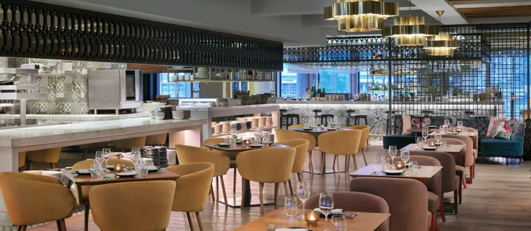 Фото отеля The St Regis Downtown Dubai
