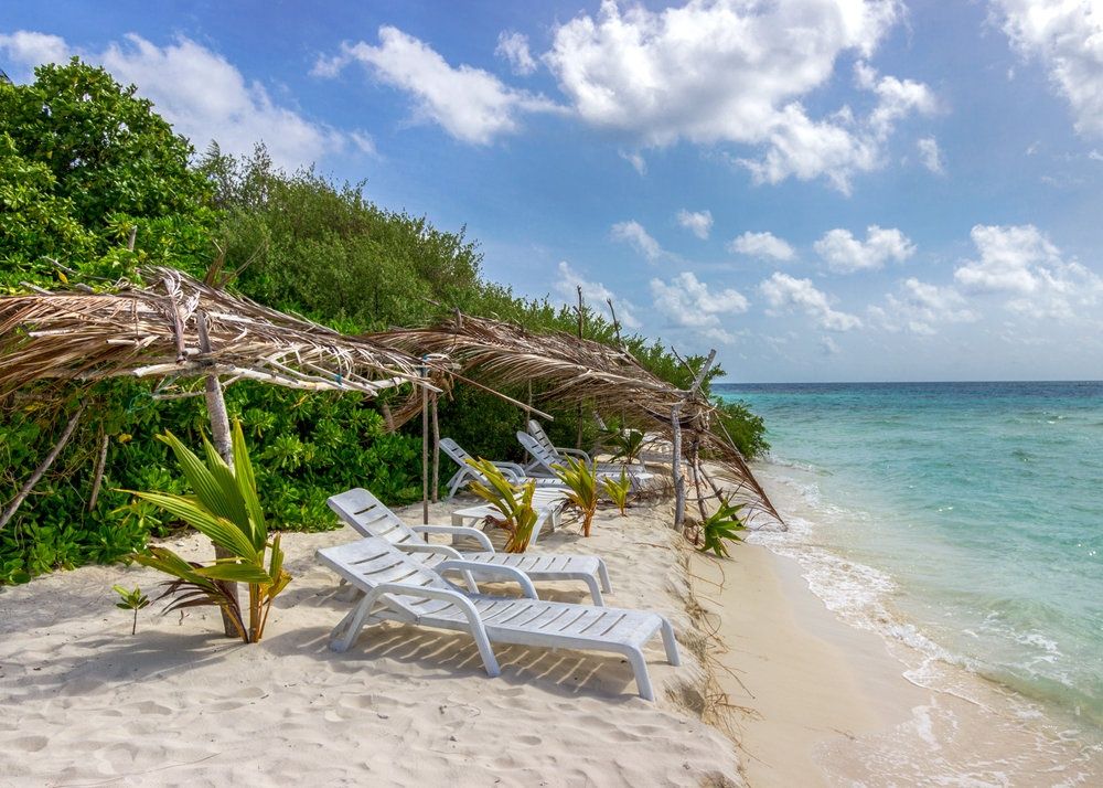 Guest House ««Plumeria Maldives» Guest House» фото 83