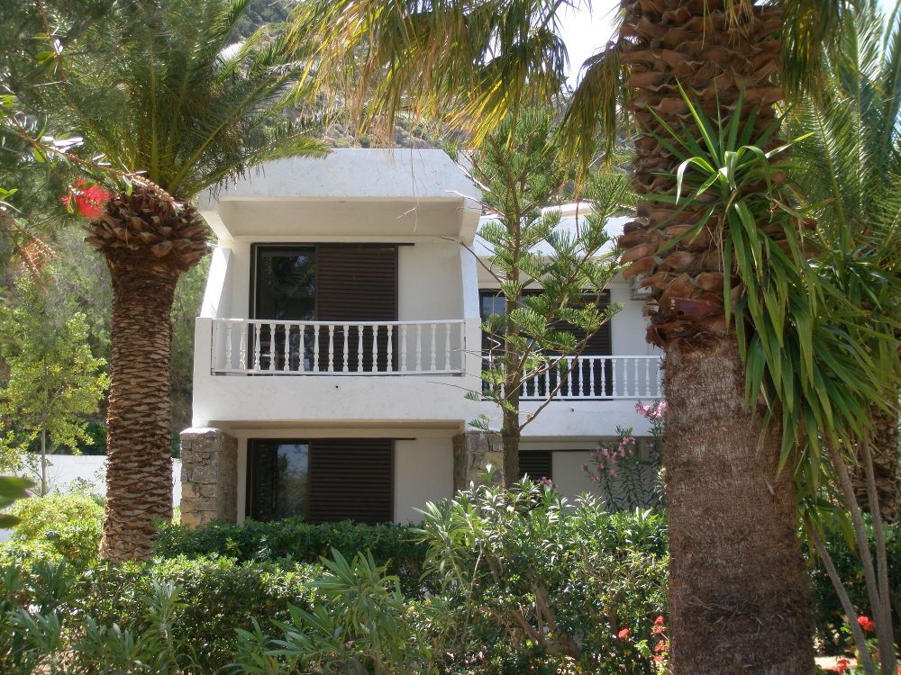 Avra Palm фото 10