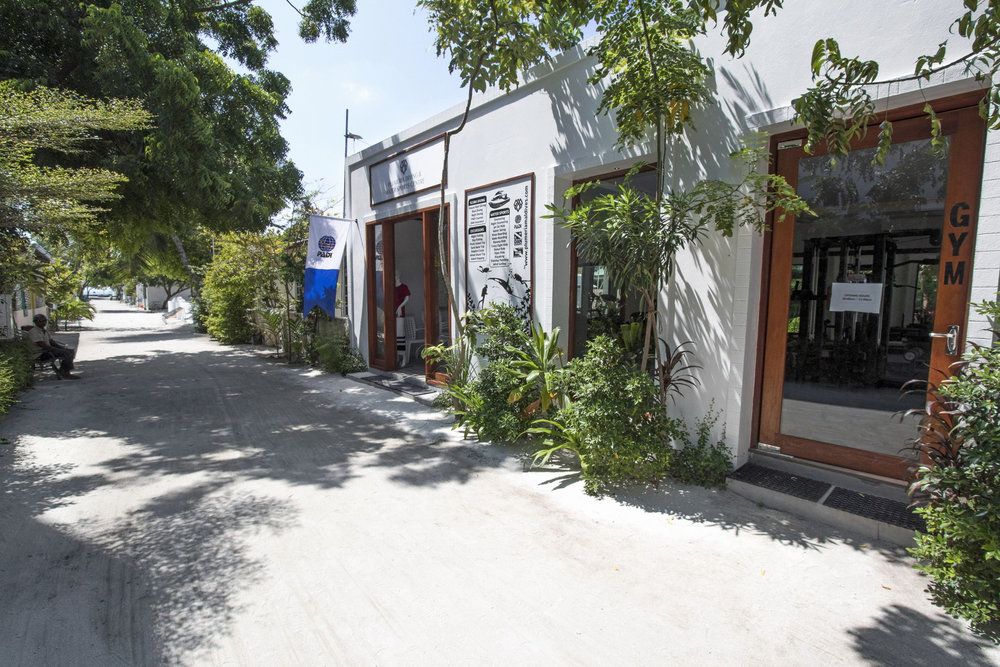 Guest House ««Plumeria Maldives» Guest House» фото 99