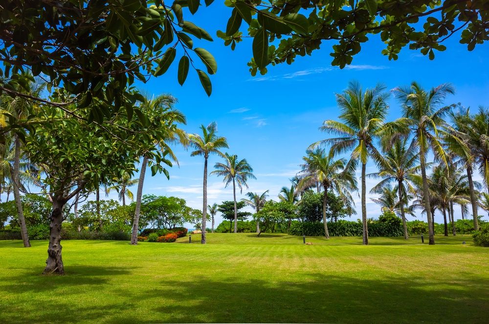 Narada Resort & Spa Perfume Bay Sanya - All Villas фото 92